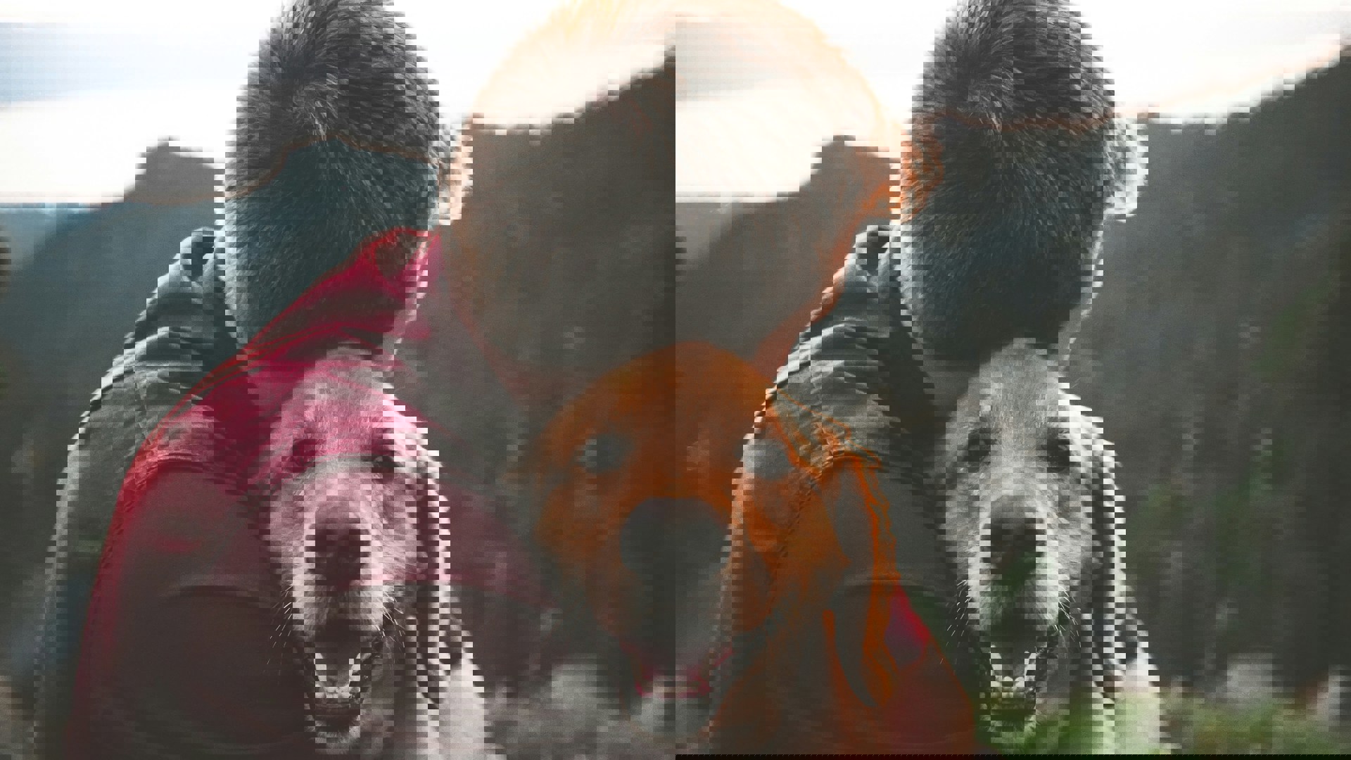 Ethical Training with K9 STARS